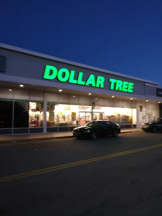 Dollar Tree 0