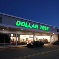 Dollar Tree ico
