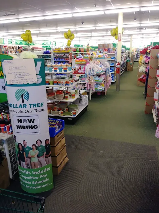 Dollar Tree 4