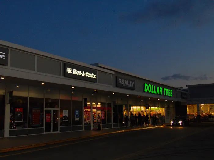 Dollar Tree 6
