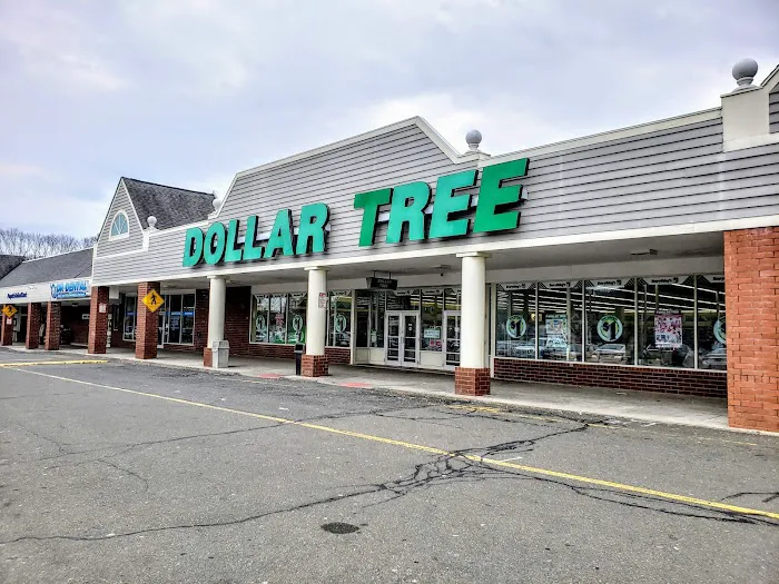 Dollar Tree 0