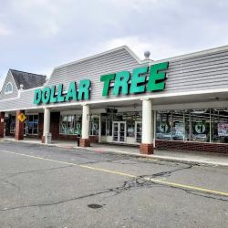 Dollar Tree ico