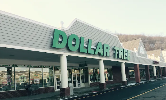 Dollar Tree 2