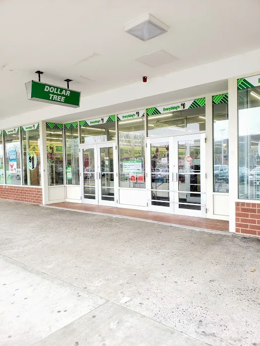 Dollar Tree 6