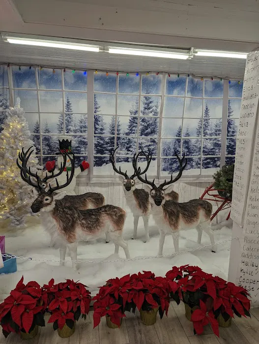 R W Hine Ace Hardware 8