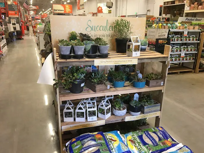 The Home Depot 8