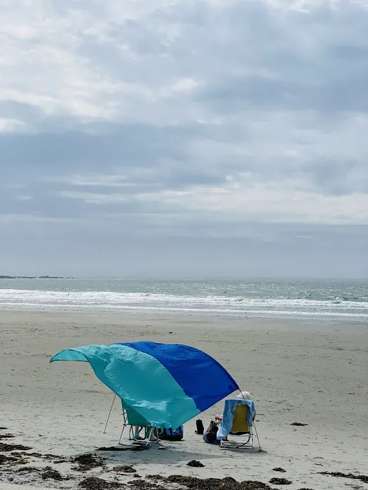 Beach Grass 8