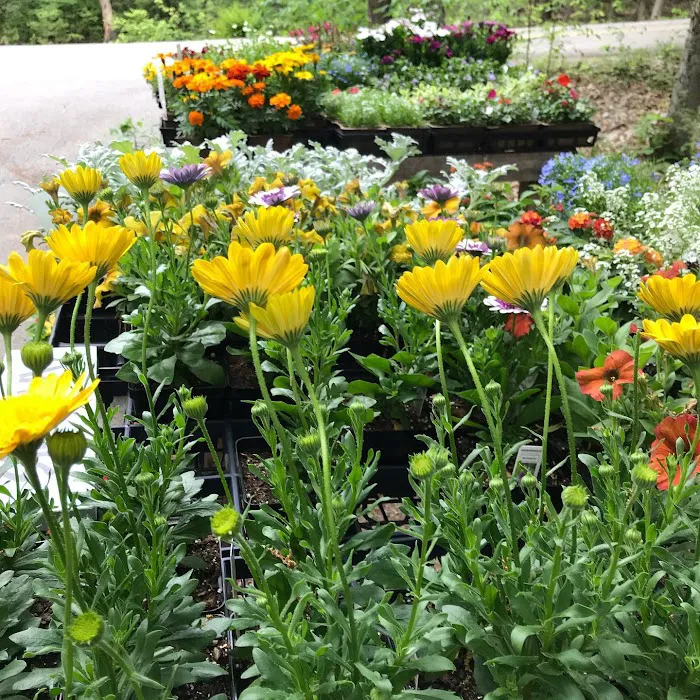 Simply Grown Farm 7