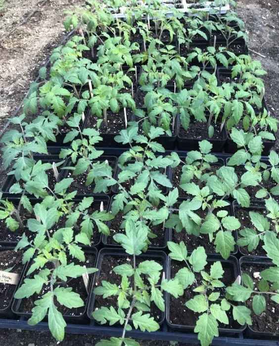 Simply Grown Farm 8