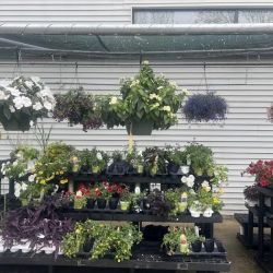 Kittery Ace Hardware ico