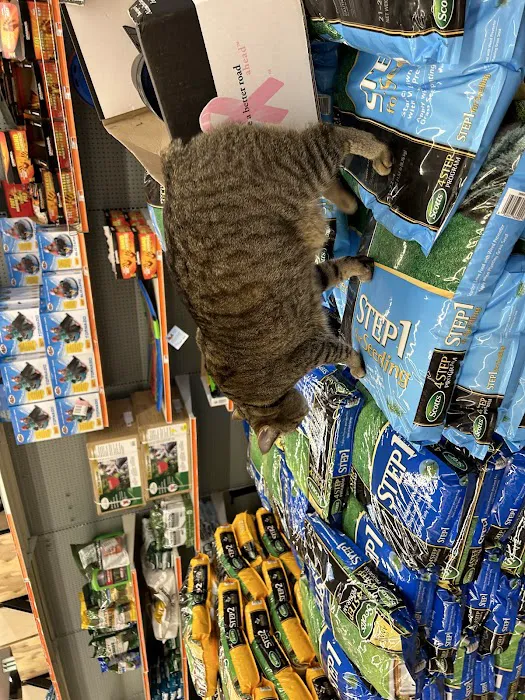 Aubuchon Ace Hardware 5