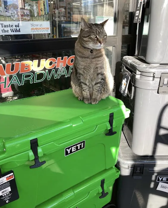 Aubuchon Ace Hardware 6