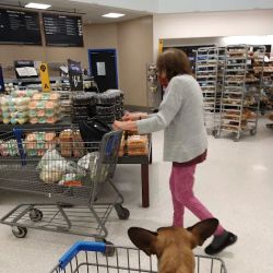 Walmart Supercenter ico