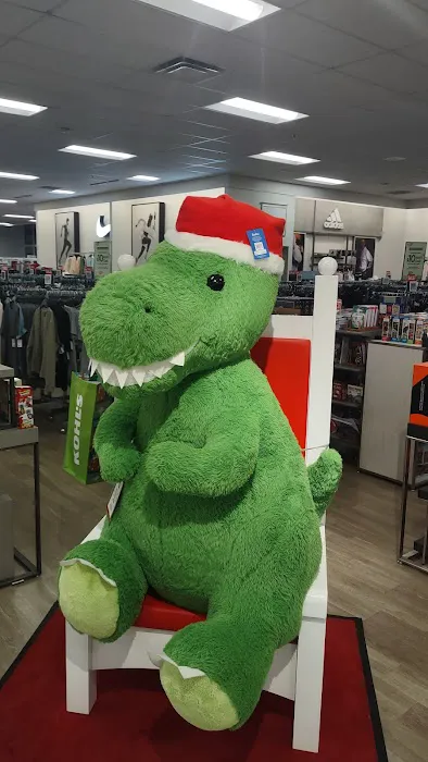Kohl's 0