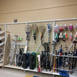 Savers ico