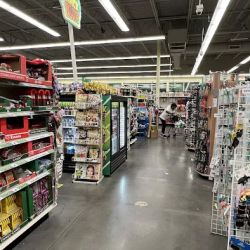 Dollar Tree ico