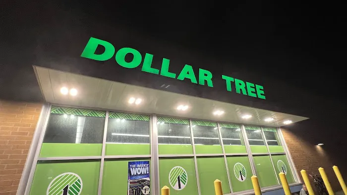 Dollar Tree 8
