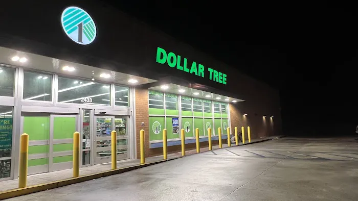Dollar Tree 6
