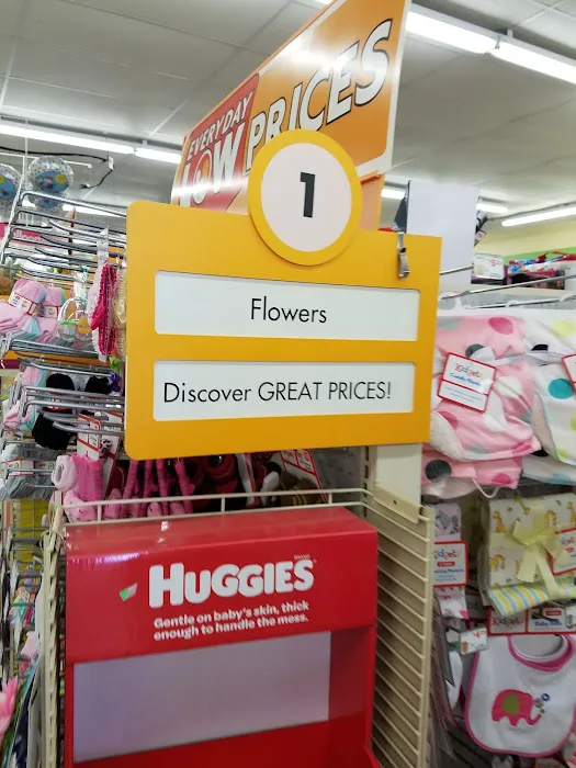 Family Dollar 0