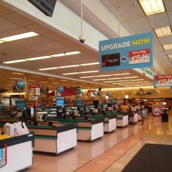 Winn-Dixie ico
