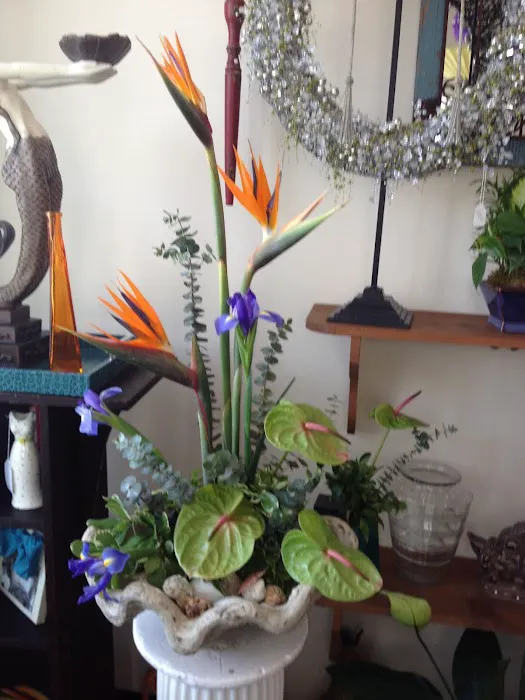 Lois' Flower Shop 7