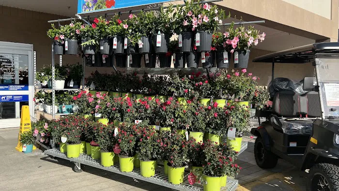 Lowe's Home Improvement 4