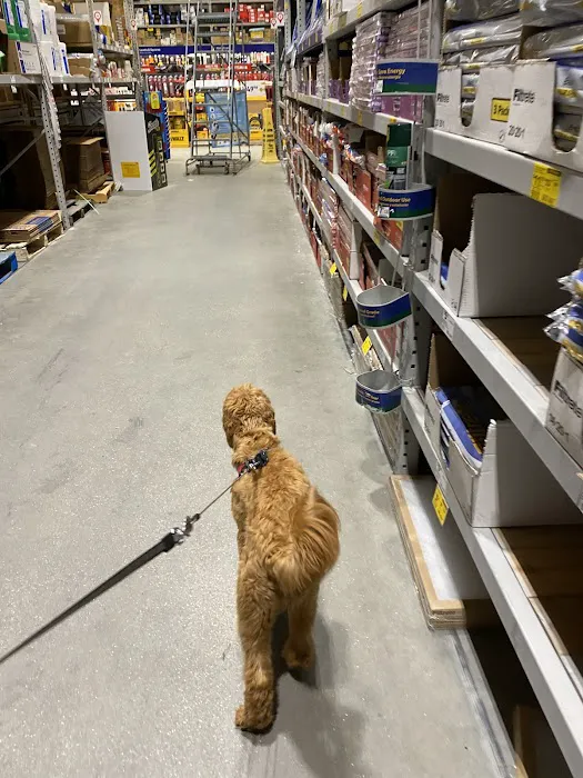 Lowe's Home Improvement 8