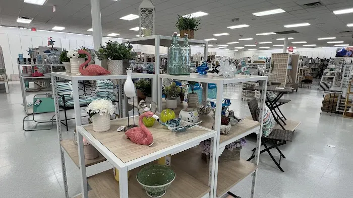 bealls 6