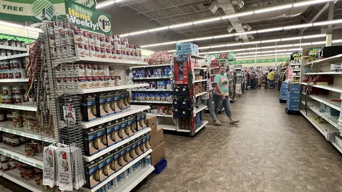Dollar Tree 8