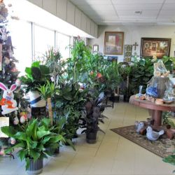 The Village Florist & Gifts ico