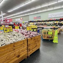 Food Giant ico