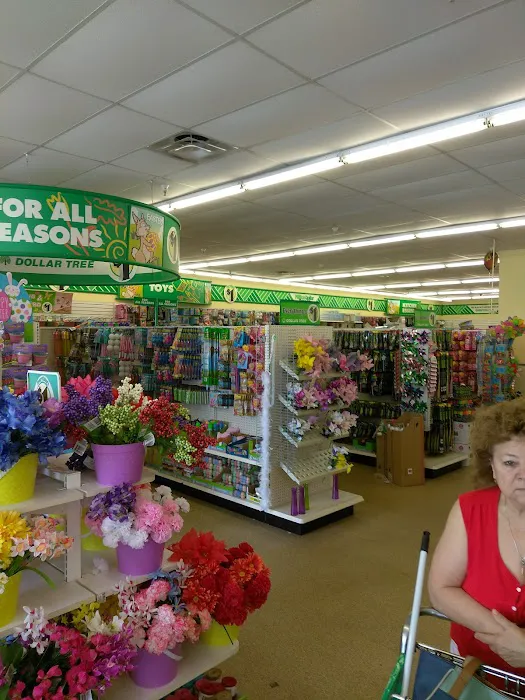 Dollar Tree 7