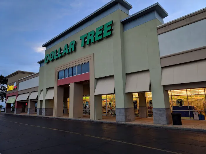 Dollar Tree 9
