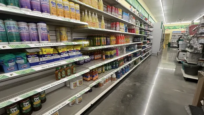 Dollar Tree 2