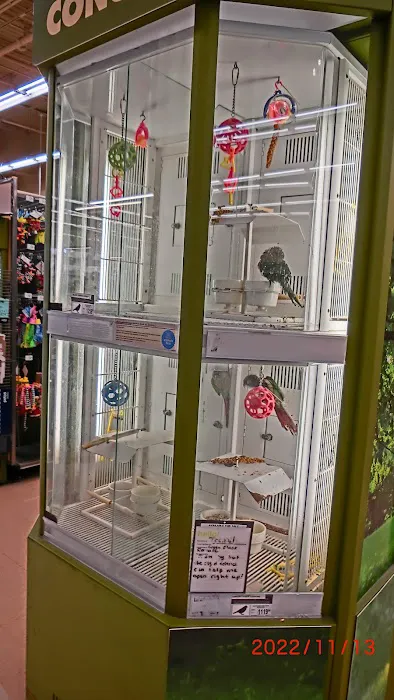 Petco 2
