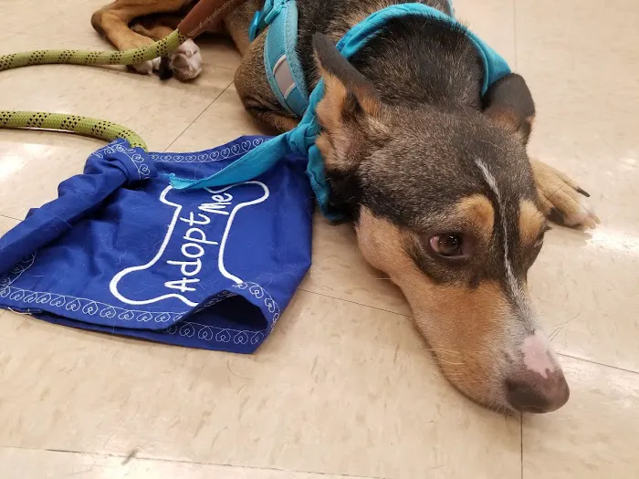 Petco 9