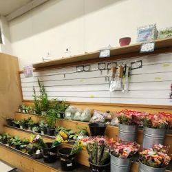 Tamura Super Market ico