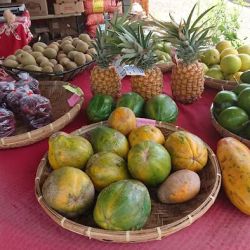 Local Farmers Market ico