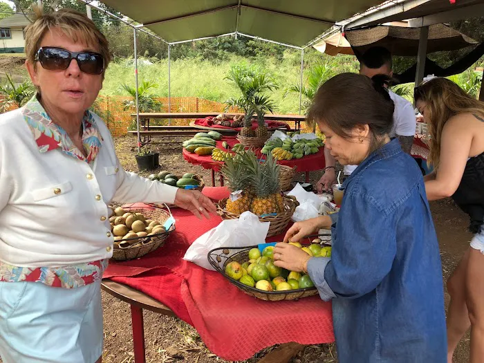 Local Farmers Market 6