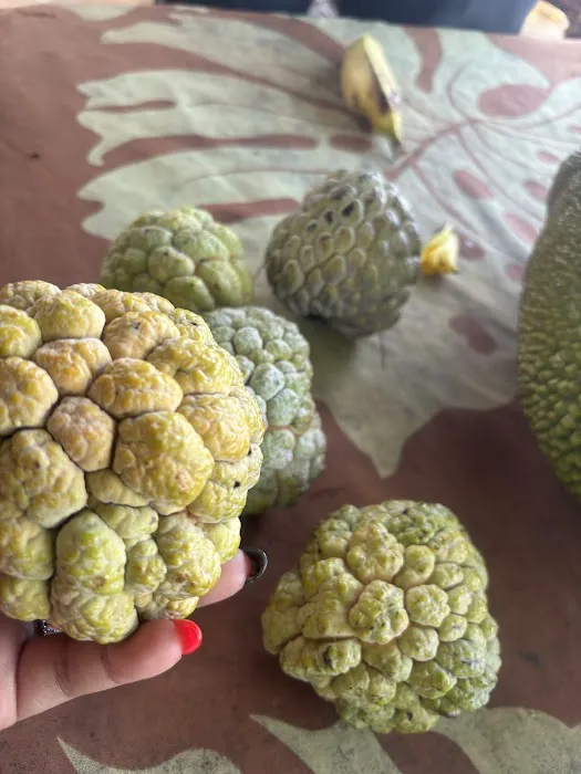 Local Farmers Market 2
