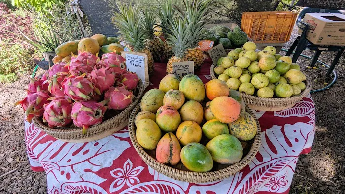 Local Farmers Market 1