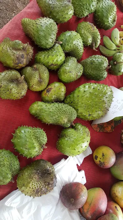 Local Farmers Market 4