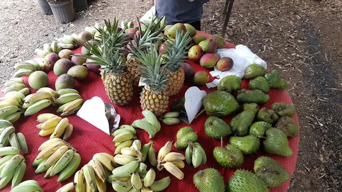 Local Farmers Market 5