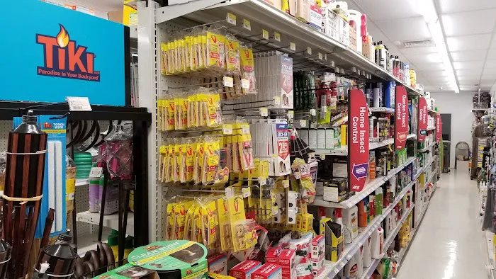 Pioneer Ace Hardware- Laie 5