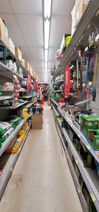 Pioneer Ace Hardware- Laie 1