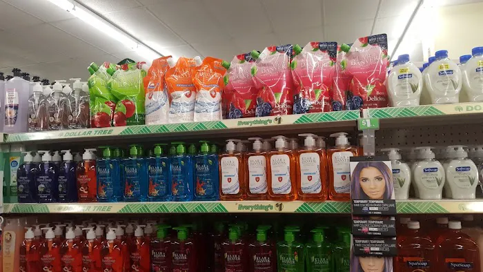 Dollar Tree 7