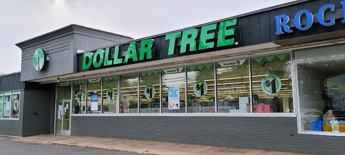 Dollar Tree 4