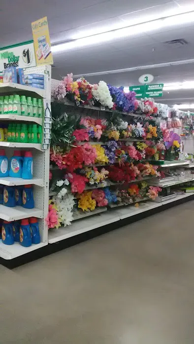 Dollar Tree 3