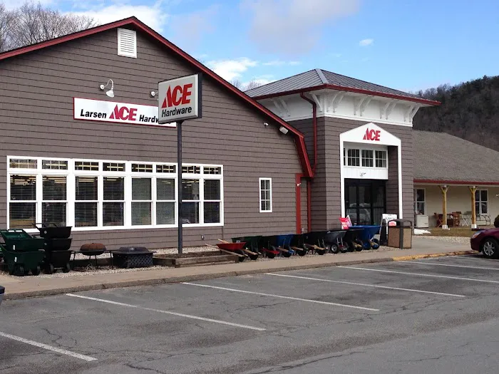 Larsen Ace Hardware 1