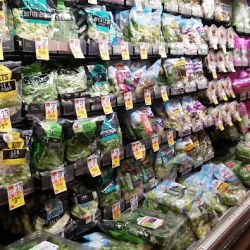 Stop & Shop ico